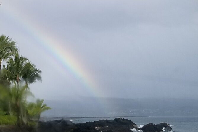 Majestic Waterfall Tour - Stop 4: Big Island Candies and the black sand beach turtle moment