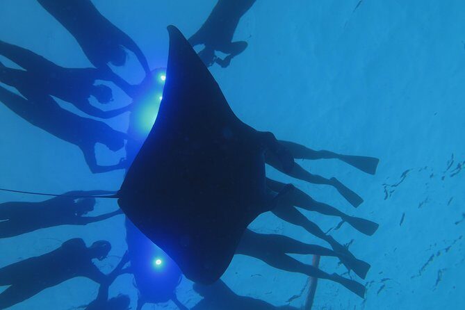 Manta Magic: Small-Group Manta Ray Night Snorkel in Kailua Kona - Price and value: is $145 a smart buy?