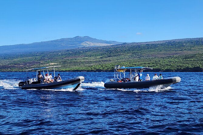 Manta Ray Night Snorkel at Kona, Big Island - Group Size and Night Vibes: How It Feels With Up to 28 People