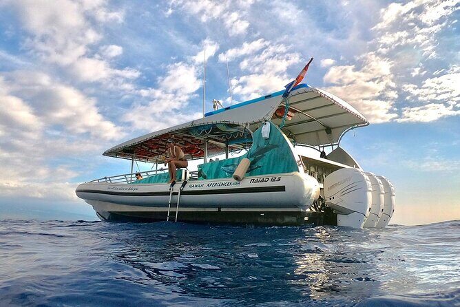 Manta Ray Night Snorkel from Kona — Small Group - Who Should Book, and Who Should Plan Another Option