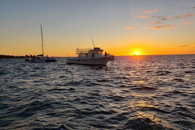 Manta Ray Night Snorkel in Kona - Practical Tips That Make Night Snorkeling Less Miserable