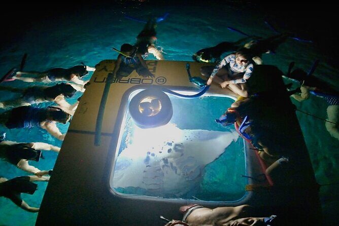 Manta Ray Snorkel Experience - Key Things to Know Before You Go