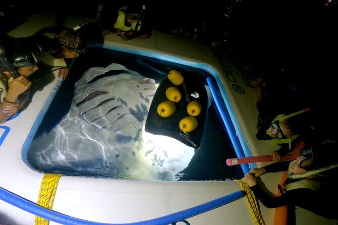Manta Ray Snorkel Experience - Kona’s Manta Heaven Starts With the Boat Setup