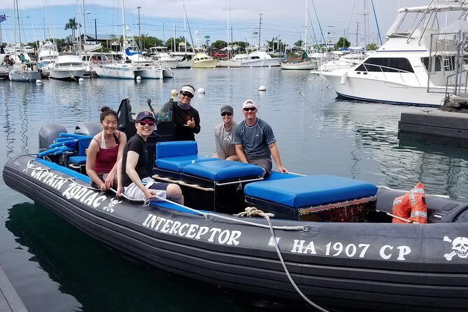 Marine Wildlife Excursion - The zodiac boat experience: why small and open-air matters