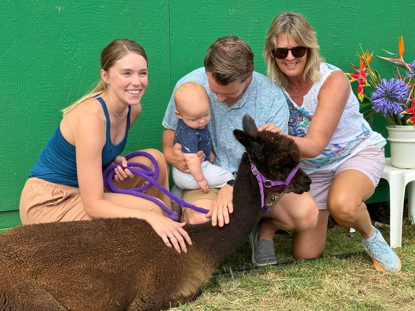Maui: Alpaca Farm Visit with Hands-On Activities - Angora Bunny Village: Soft Fur Time With Clear Care Learning