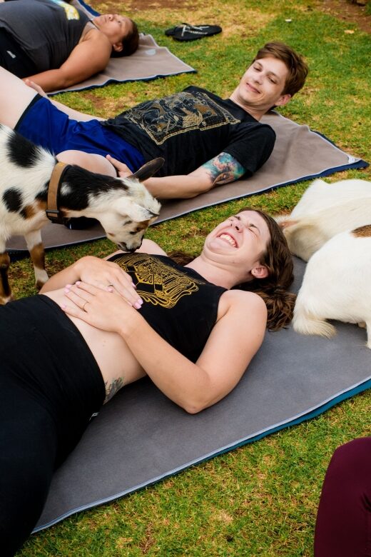 Maui Goat Yoga with Miniature Goats - Key Things to Know Before You Go