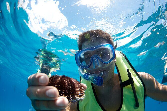 Mauna Kea 3hr Two Stop Sealife Snorkel Adventure - Key highlights before you go