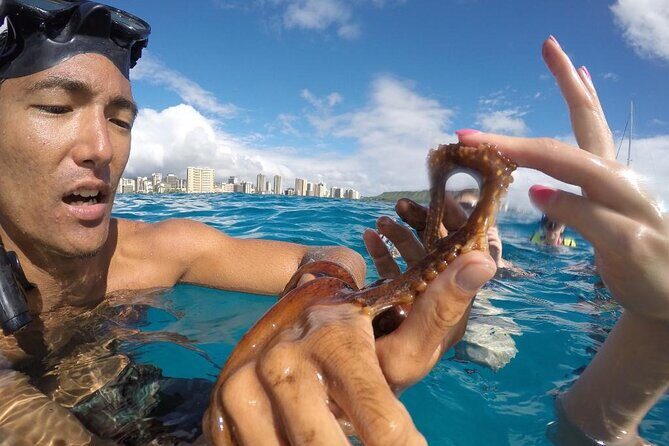 Mauna Kea 3hr Two Stop Sealife Snorkel Adventure - Snorkeling equipment and in-water help that actually makes a difference