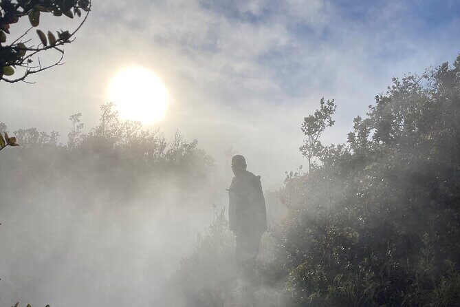 Meet in the park - Private Hawaii Volcanoes National Park Tour - Kīlauea: the park’s main story for the active-volcano experience
