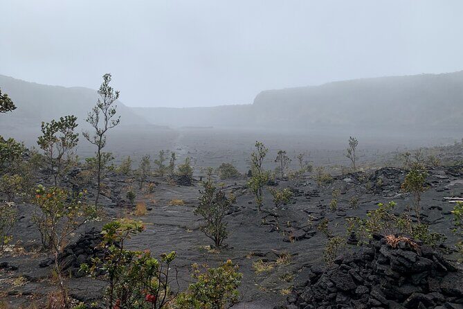 Meet in the park - Private Hawaii Volcanoes National Park Tour - The unplanned bonus: optional hike time if energy allows