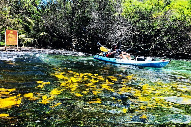 Midday Meander - Kealakekua Bay Kayak and Snorkel Adventure - Midday Timing and What the 4 Hours Really Feel Like