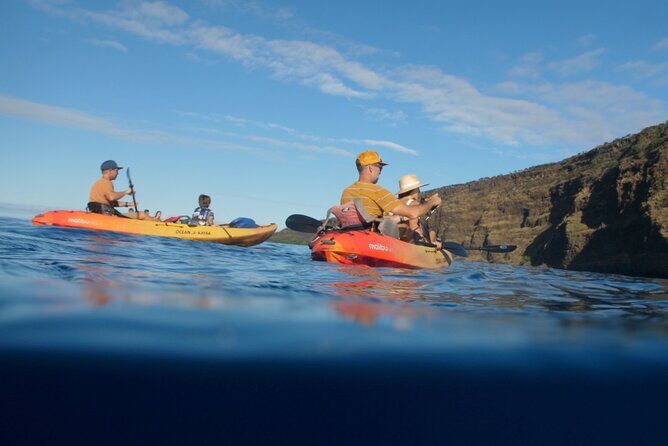 Midday Meander - Kealakekua Bay Kayak and Snorkel Adventure - Snorkeling the Ka‘awaloa Coastline: What the Site Offers and How the Tour Supports You