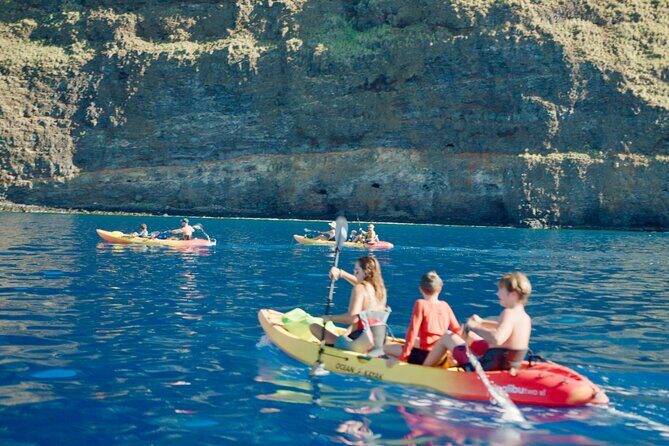 Midday Meander - Kealakekua Bay Kayak and Snorkel Adventure - Price and Value: What You Pay For (and Why It May Be Worth It)