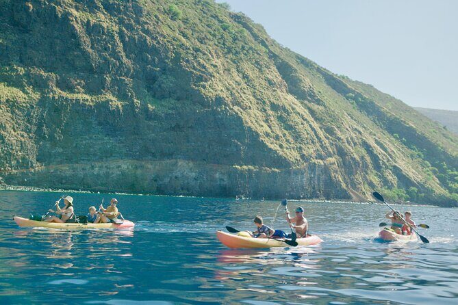 Midday Meander - Kealakekua Bay Kayak and Snorkel Adventure - Who This Tour Fits Best (and Who Should Rethink It)
