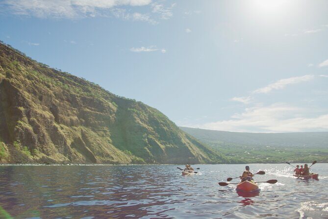 Morning Magic Kayak and Snorkel Adventure in Kealakekua Bay - Lunch from The Coffee Shack: included food that keeps you happy