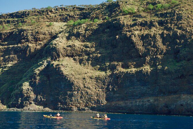 Morning Magic Kayak and Snorkel Adventure in Kealakekua Bay - The 7:00 am start: how timing shapes your time on the water