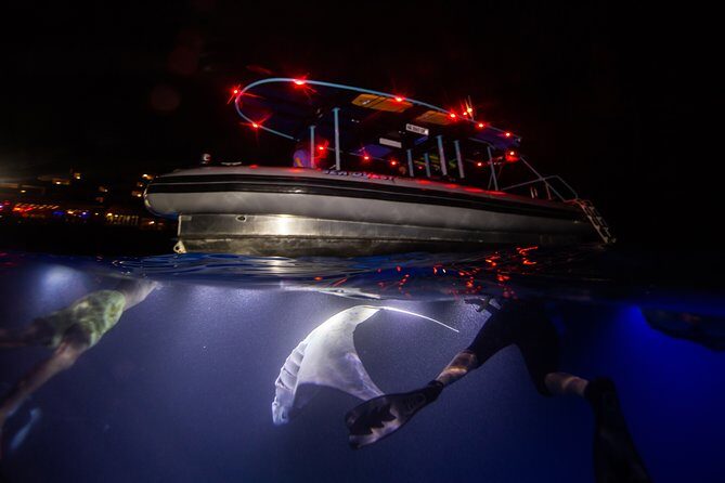 Night Manta Ray Experience - Why Night Manta Rays in Kona Feels Like a Different Planet