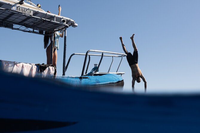 Offshore Wildlife Safari and Reef Snorkel - Key things I’d watch for on this Kona tour