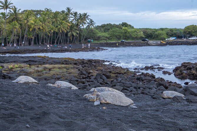 Private - All Inclusive Big Island Circle Tour - Waipio Valley Lookout late afternoon: the view you wait for