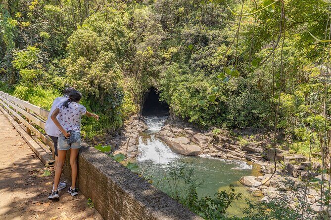 Private - All Inclusive Big Island Volcano & Waterfalls Tour - Hilo Lunch on the Coast: Fuel Without Losing the Day