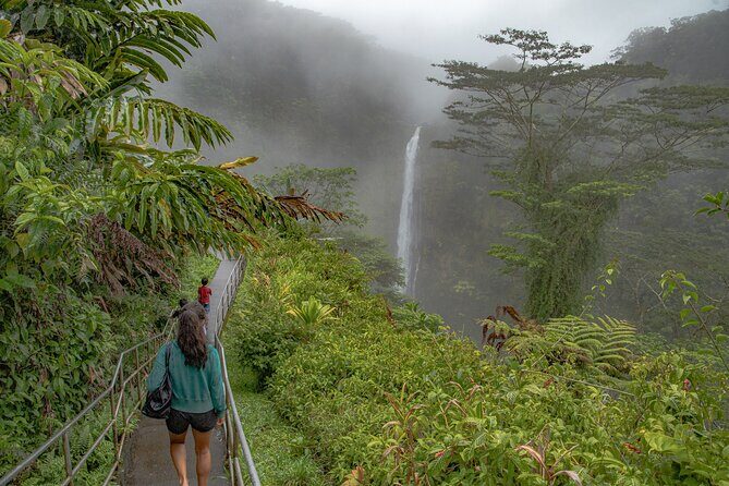Private - All Inclusive Big Island Waterfalls Tour - Akaka Falls State Park: two waterfalls and a guided walk