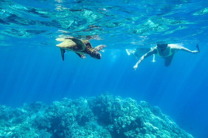 Private Big Island Snorkeling - What you actually get onboard: gear, photos, snacks, water