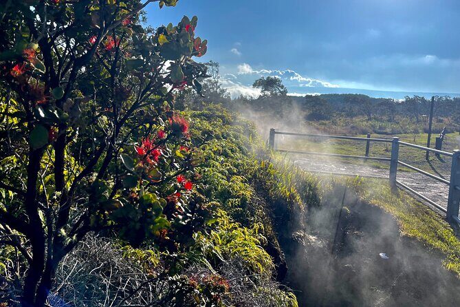 Private Big Island Tour: Coffee, Beaches, Volcanos, Waterfalls - Big Island Candies and how lunch fits the rhythm