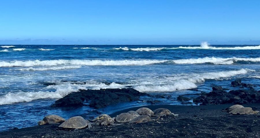 Private Big Island Tour:Coffee, Beaches,Volcanos & Waterfall - Key things I’d plan around before you go