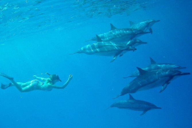 Private Charter: Customizable Big Island Boat Adventure - Stop 1: Honokohau Marina check-in (and what to expect)