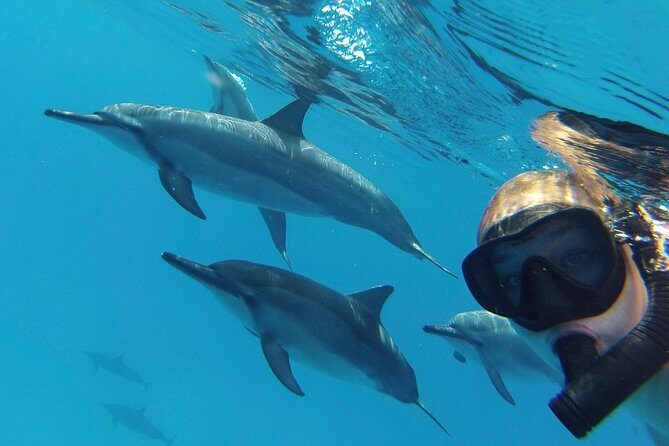 Private Charter: Customizable Big Island Boat Adventure - The 4-hour private customized tour: what the captain actually plans