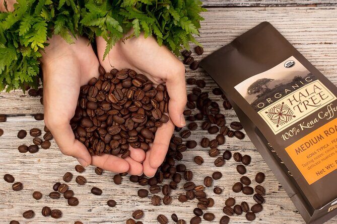 Private Coffee Roasting Class - Key takeaways before you go
