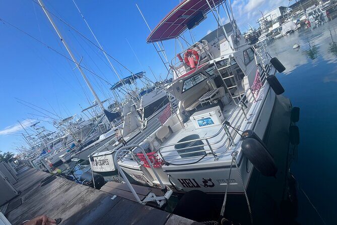 Private & Custom - Family Fish and Snorkel Charter - The Switch That Makes It a Family Charter: Snorkeling and Wildlife