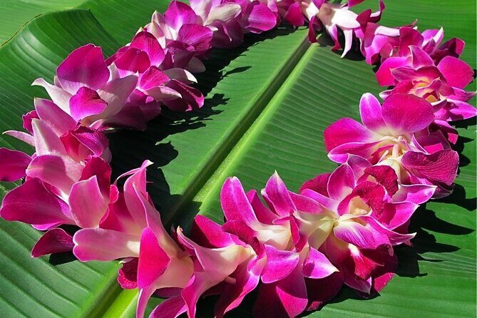 Private Departure Transfer: Big Island Hotels to Kona International Airport - Mercedes Pickup and the Hotel Area Rule (Waikoloa, Keauhou, Kona, Hualalai)
