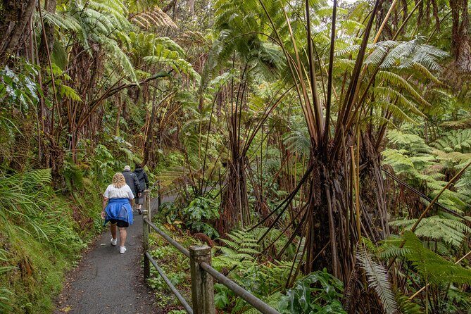 Private - Hawaii Volcanoes NP and Black Sand Beaches Tour - Price and Value: What You’re Paying For (and When It’s Worth It)