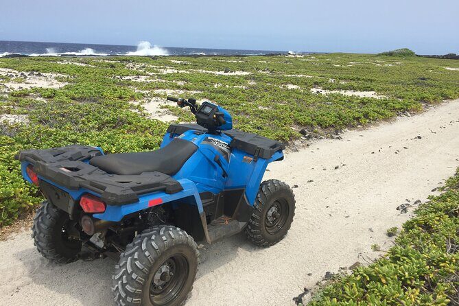 Private Island Volcano Tour in Hawaii with Pickup Included - Punalu’u black sand and turtles: a stop that feels real