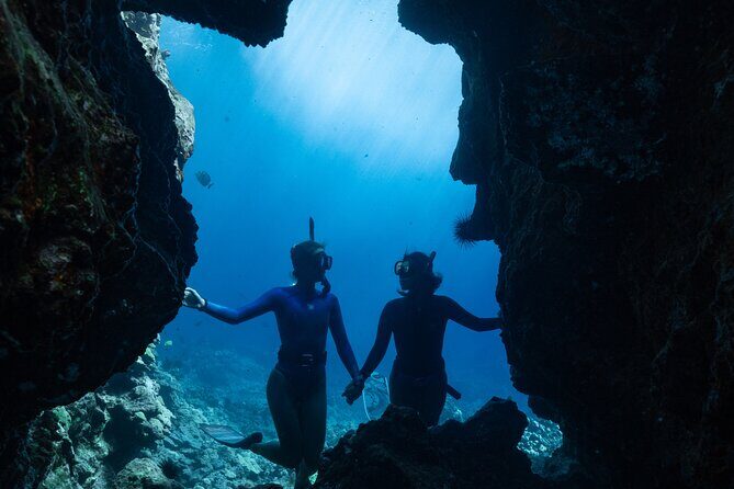 Private Kealakekua Bay Snorkel and Dolphin Watch - The value question: is $1,500 per group “worth it”?