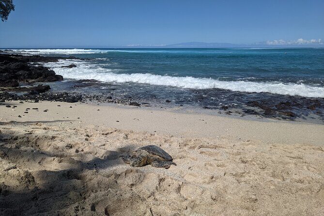 Private Luxury Van with Driver to Big Island Destinations of Your Choice - Hawi: The 90-Minute Stroll That Feels Like Hawaii’s Backroad Version