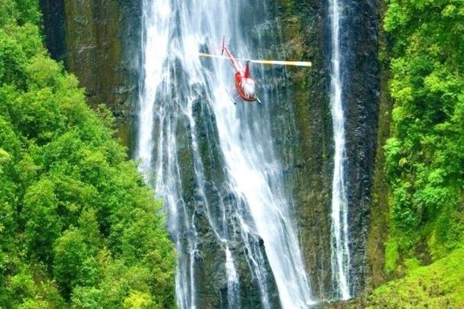 Private Magical Waterfall Tour - Honopue, Honokea, Honokane valleys, and Pololu: the scenic sweep