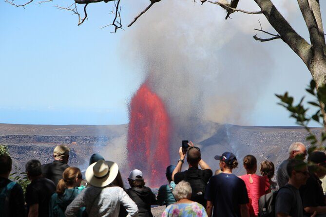 Private Shore Excursion Hilo Volcanoes National Park up to 10 PPL - The Mercedes Sprinter: Comfort That Actually Helps