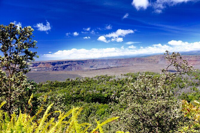 Private Tour: Experience Active Kilauea Volcano & Hilo Rainbow Falls - Key things that make this tour work