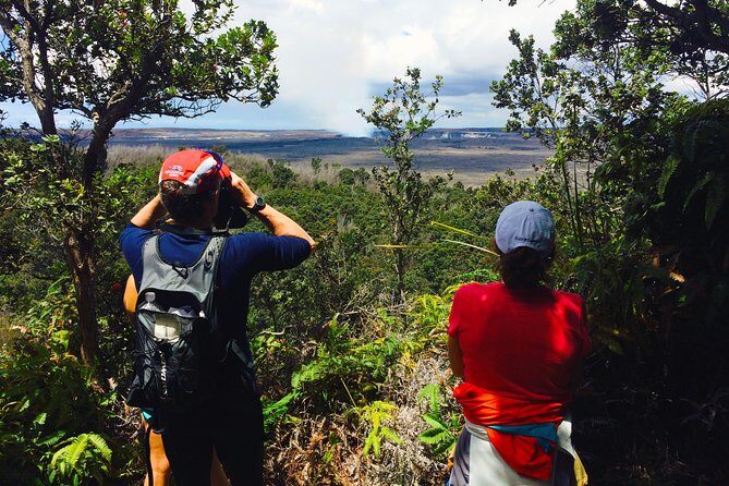 Private Tour: Hawaii Volcanoes National Park Eco Tour - Why this Volcano Tour feels personal