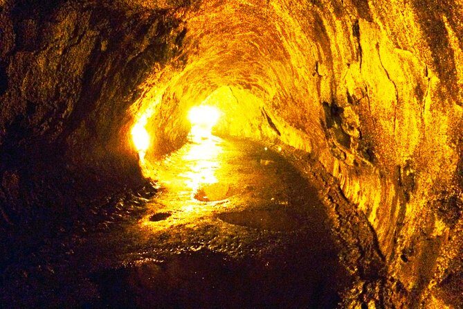 Private Tour: Hawaii Volcanoes National Park Eco Tour - Stop-by-stop walkthrough: steam vents, rainforest scars, and a 500-year-old tube