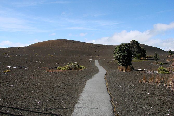 Private Tour: Hawaii Volcanoes National Park Eco Tour - Extra value: Visitor Center, Junior Ranger, Volcano Art Center, and a coastal photo break