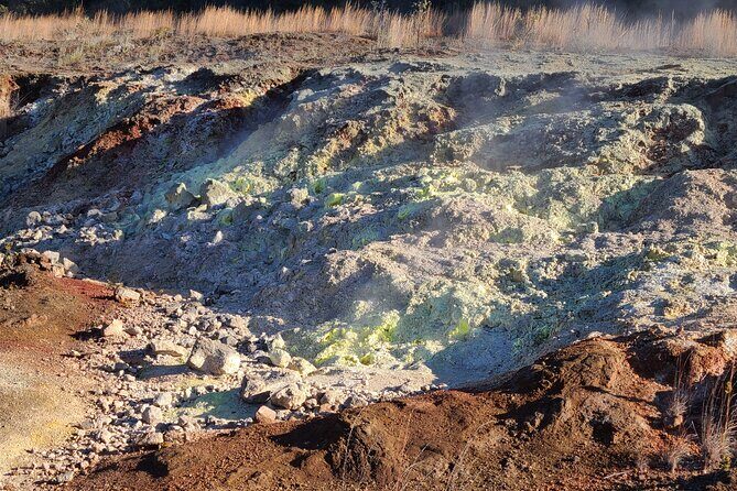Private Tour of Hawaii Volcanoes National Park - What You’ll Likely Spot Inside Hawaii Volcanoes National Park