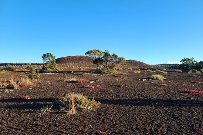 Private Tour of Hawaii Volcanoes National Park - Price and Value: What $625 Per Group Really Covers