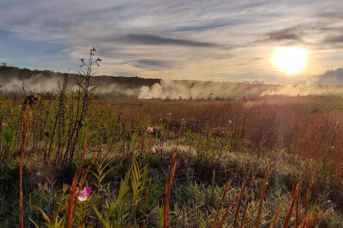 Private Tour of Hawaii Volcanoes National Park - Family-Friendly Science for Kids (and Adults With Questions)