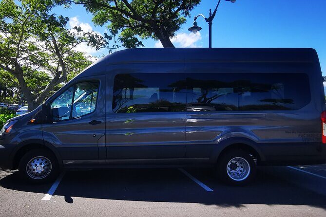 Private Transfer From Hotels in Waikoloa & Waimea to Kona International Airport - Meeting the Driver: Mobile Ticket, Hotel Entrance Pickup, and Clear Communication