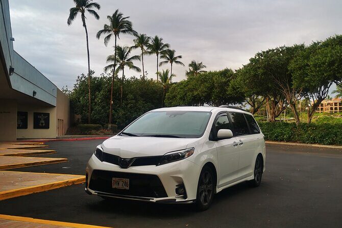Private Transfer From Kona International Airport to Hotels in Kailua-Kona - Meeting at Baggage Claim: The Part That Usually Saves Time