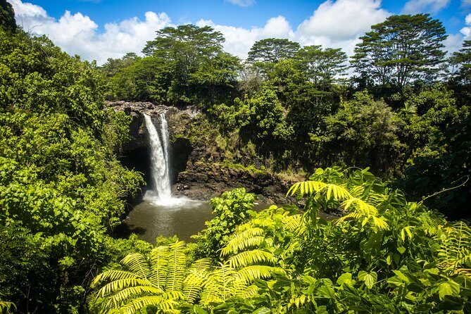 Private VAN Tour Hilo - Food, Snacks, and What’s Missing from the Plan