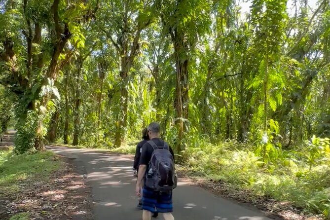 Secret Tide Pool Hike - Jungle & Coast - Private - The Route: Jungle, Boulder Fields, and Lava Rock Scrambling